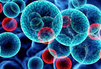 Leucemia mieloide aguda, cáncer con mayor incidencia en adultos mayores