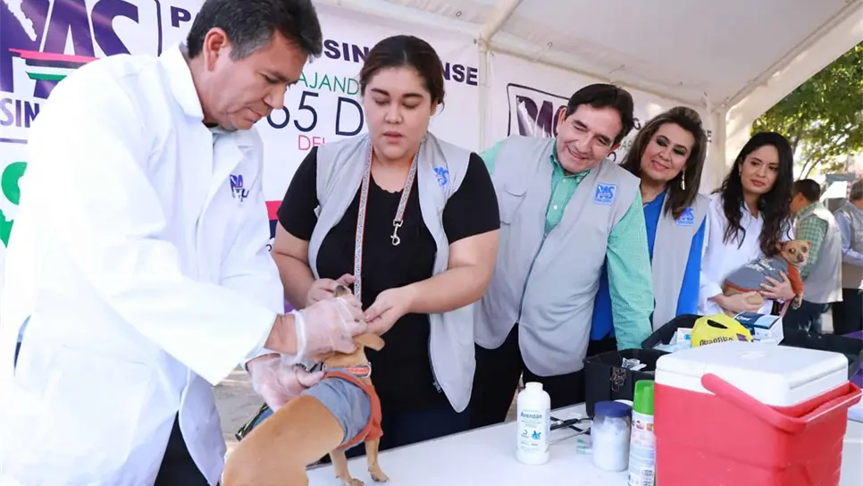 Lleva el PAS programa de atención a mascotas en colonias