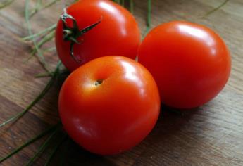 Insiste EU en dumping al tomate