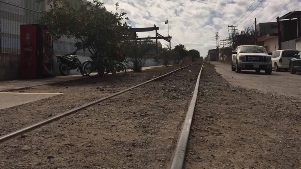 De igual prioridad el puerto que tren Mazatlán-Durango: Sedeco