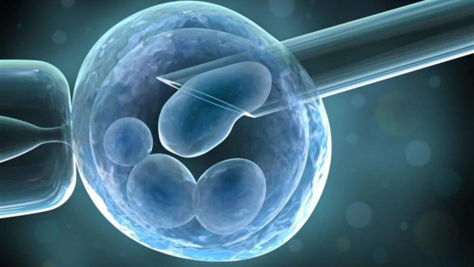 Células madre, eficaces en tratamiento de 115 enfermedades