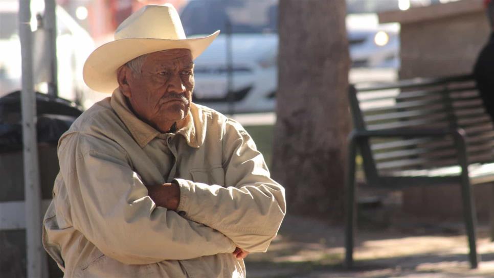 Publican reglas de operación de la Pensión para personas adultas mayores