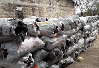 Profepa asegura 9.8 toneladas de carbón vegetal en Sonora