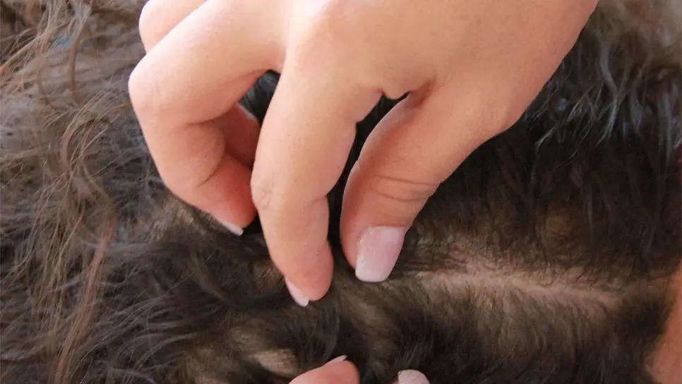 Atienden plaga de piojos en algunas escuelas de Ahome