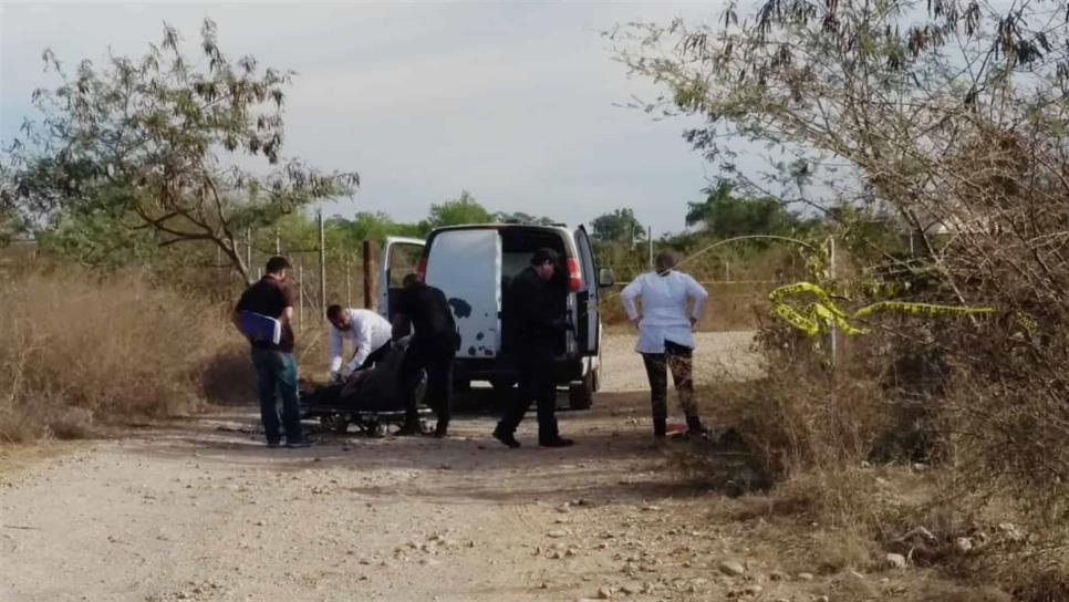 Sinaloa a la baja en delitos de homicidio y robo de vehículo