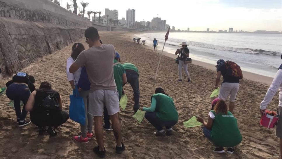 Se suman más a limpieza de playas post Carnaval