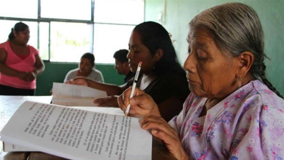 Baja California, debajo de estándares de  UNESCO en analfabetismo