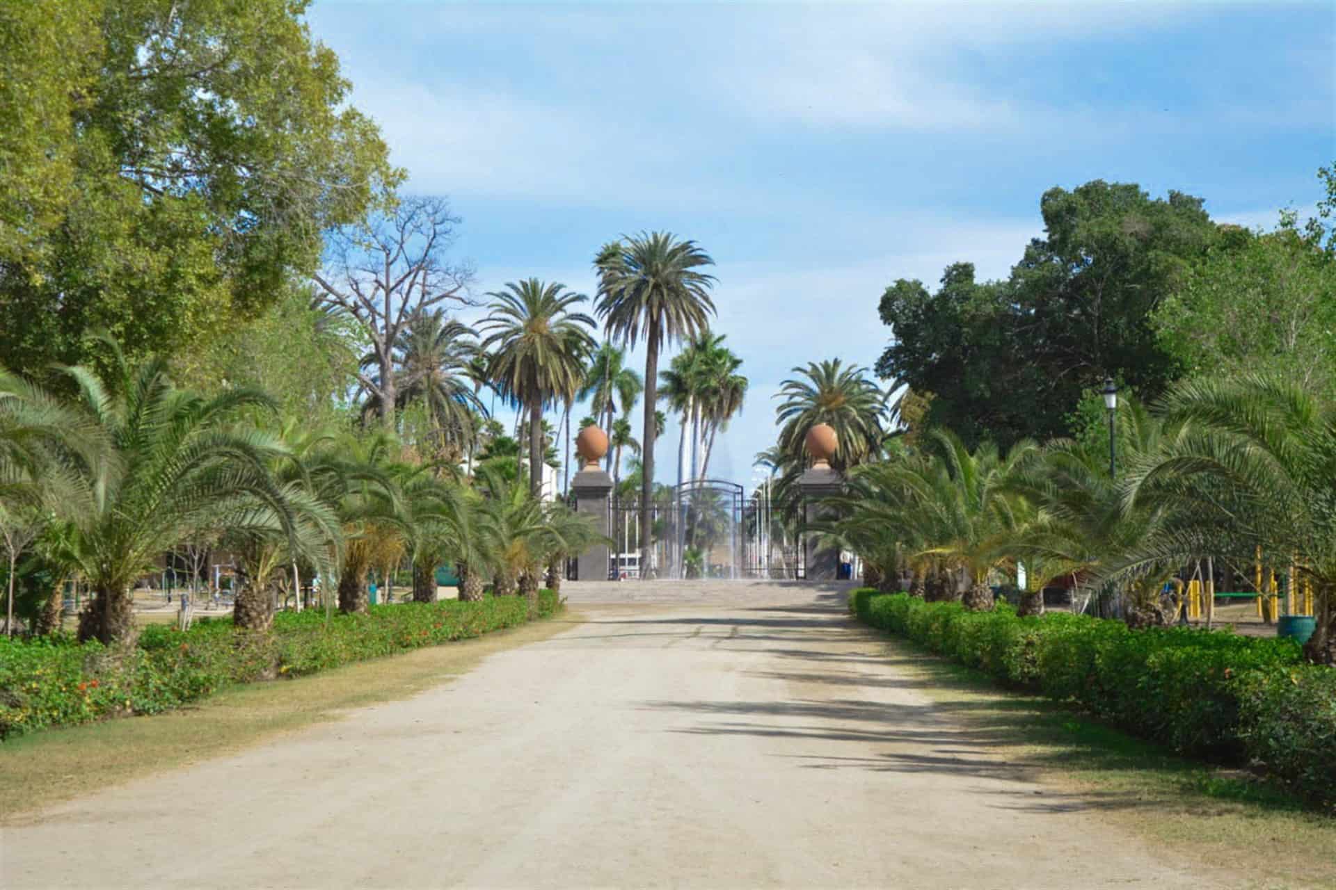 FOTO: Xavier Monrreal.