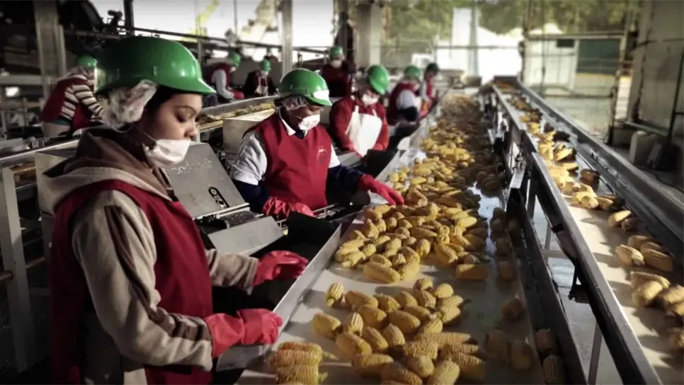 Crece 7.7% industria en Sinaloa