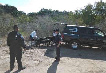 Sin pies ni manos, encuentran cadáver en marisma de Mazatlán