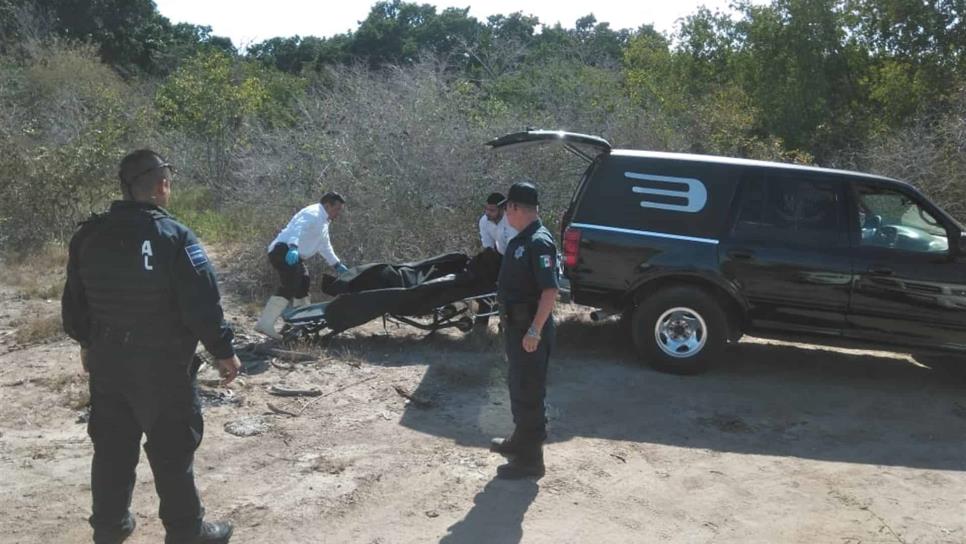 Sin pies ni manos, encuentran cadáver en marisma de Mazatlán