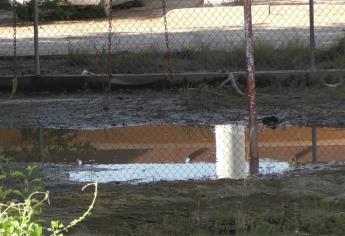 Sufren 13 escuelas de Ahome brote de aguas negras