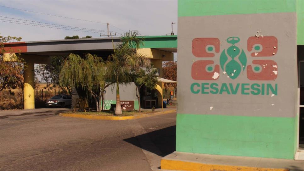 Con multas se garantizará fitosanidad en Sinaloa