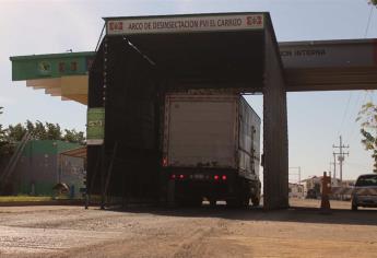 Deshidratadoras intentan introducir fruta contaminada a Sinaloa