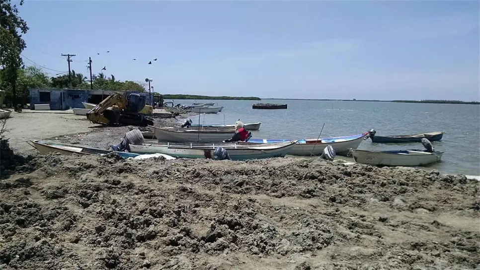 Se acabaron las capturas, hoy arranca la veda de camarón