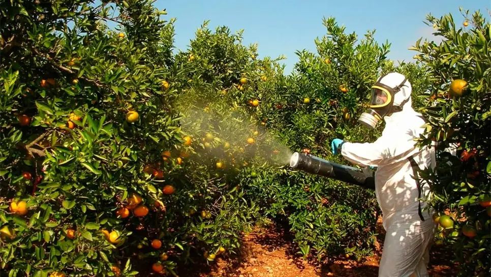 Uso excesivo de plaguicidas agrícolas puede causar cáncer: Coepriss