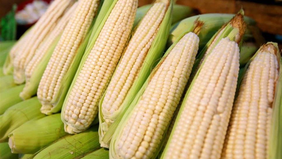 Baja precio del maíz a $3 mil 978 pesos