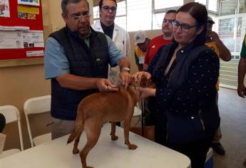 Inicia Semana de Vacunación Antirrábica para Perros y Gatos 2019