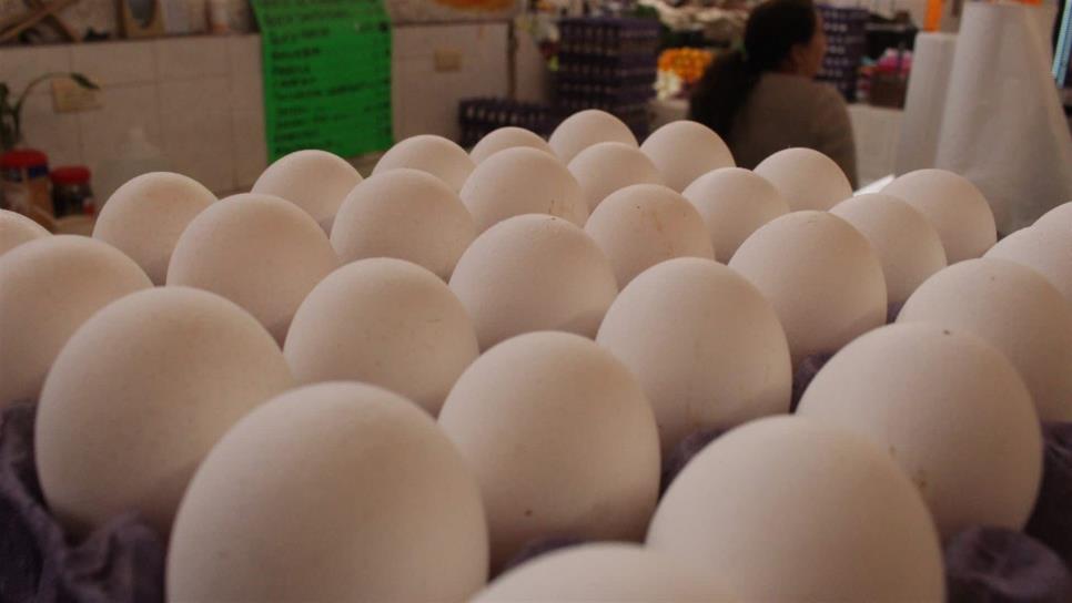 Detectan venta de huevo con riesgo sanitario por gripe aviar en Sinaloa