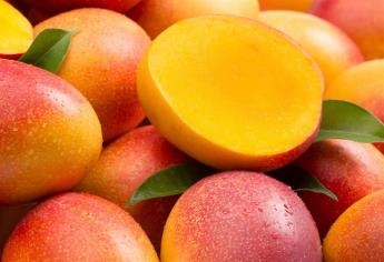 Mexicano consume en promedio 12.4 kilos de mango al año