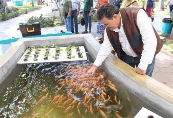 Reporta Acuario Mazatlán finanzas sanas e ingresos crecientes