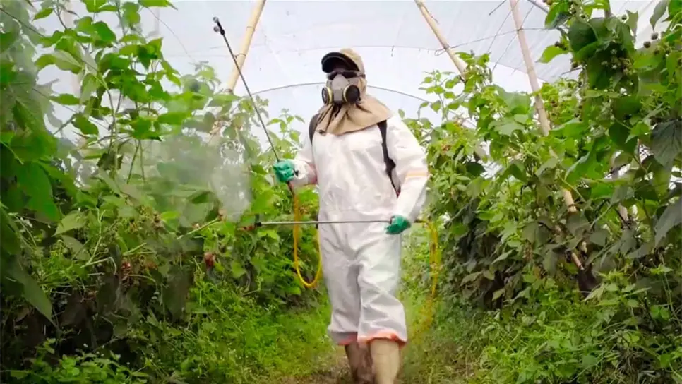 Actualizará Gobierno de México regulación sobre plaguicidas