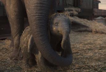 “Dumbo” tiene momentos de tristeza, emotivos, pero no se excede DeVito