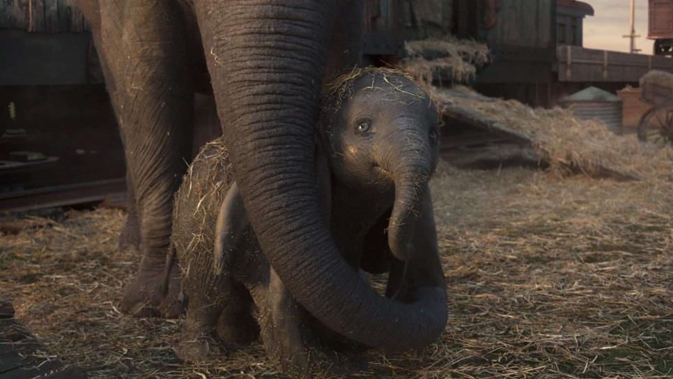 “Dumbo” tiene momentos de tristeza, emotivos, pero no se excede DeVito