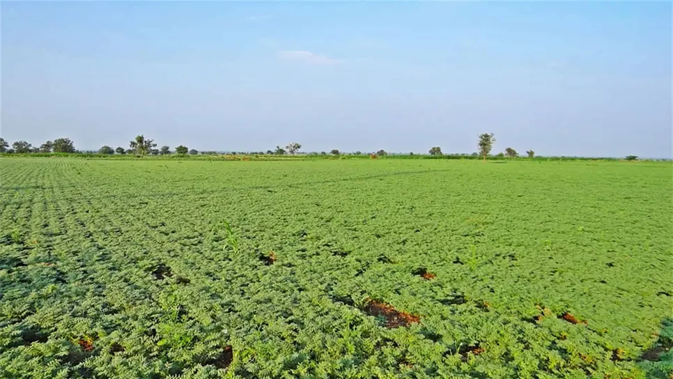 FOTO: Manuel Aceves.