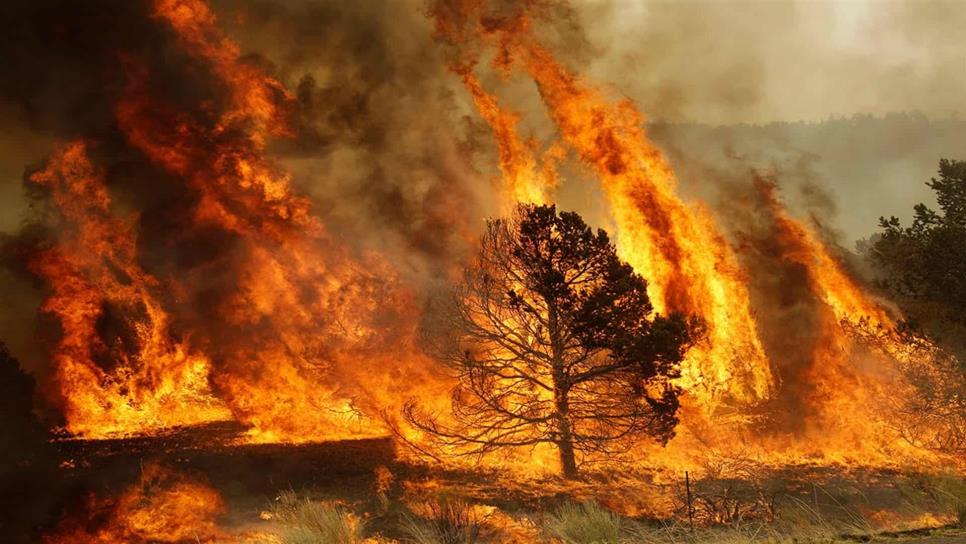Advierten intensificación de incendios forestales en abril y mayo