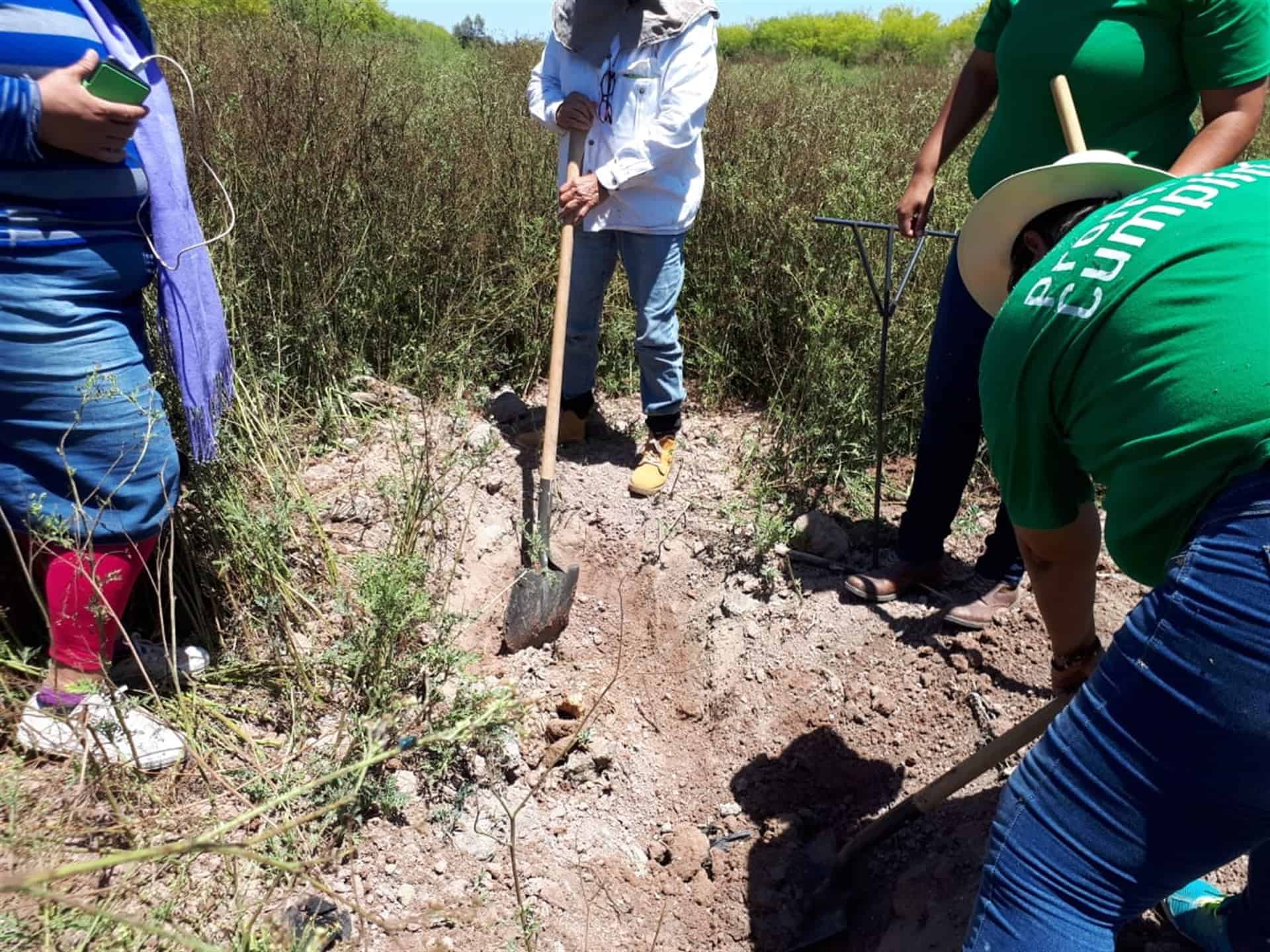 FOTO: Ernesto Torres.