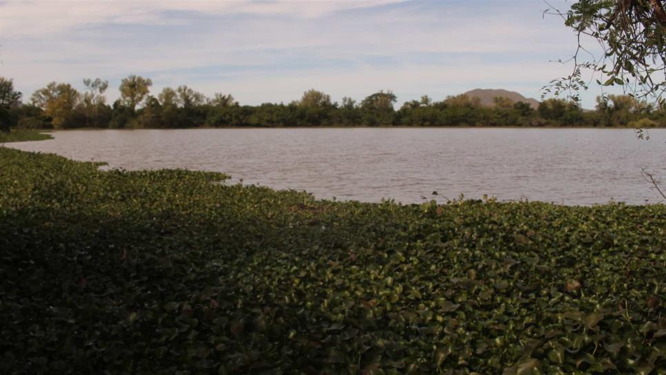 Pide PC respetar señaléticas de no bañarse en playas y ríos