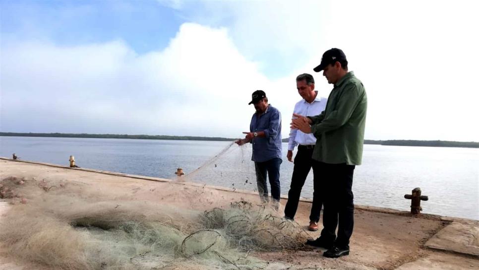 Ciclos de pesca y agricultura afectan en generación de empleo