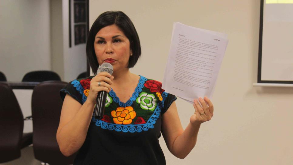 Desinforma, el análisis mal elaborado del PAN: Juana Minerva