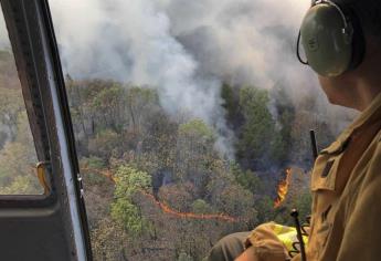 Cifra de incendios forestales de 2019, menor a la de 2017 y 2018