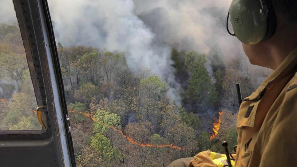 Cifra de incendios forestales de 2019, menor a la de 2017 y 2018