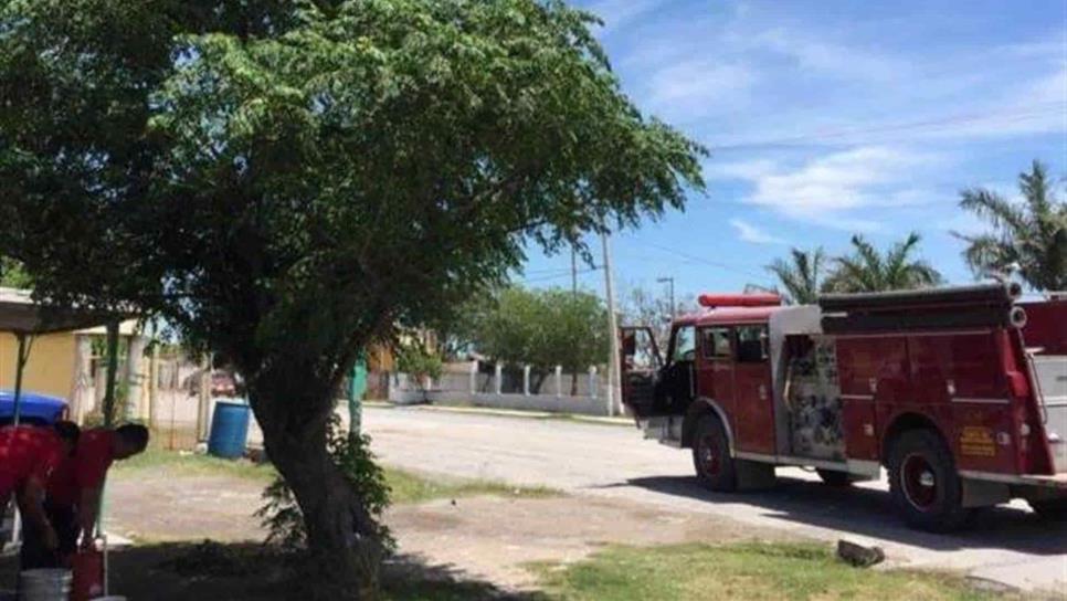 Enjambre de abejas ataca en una primaria del Poblado 5