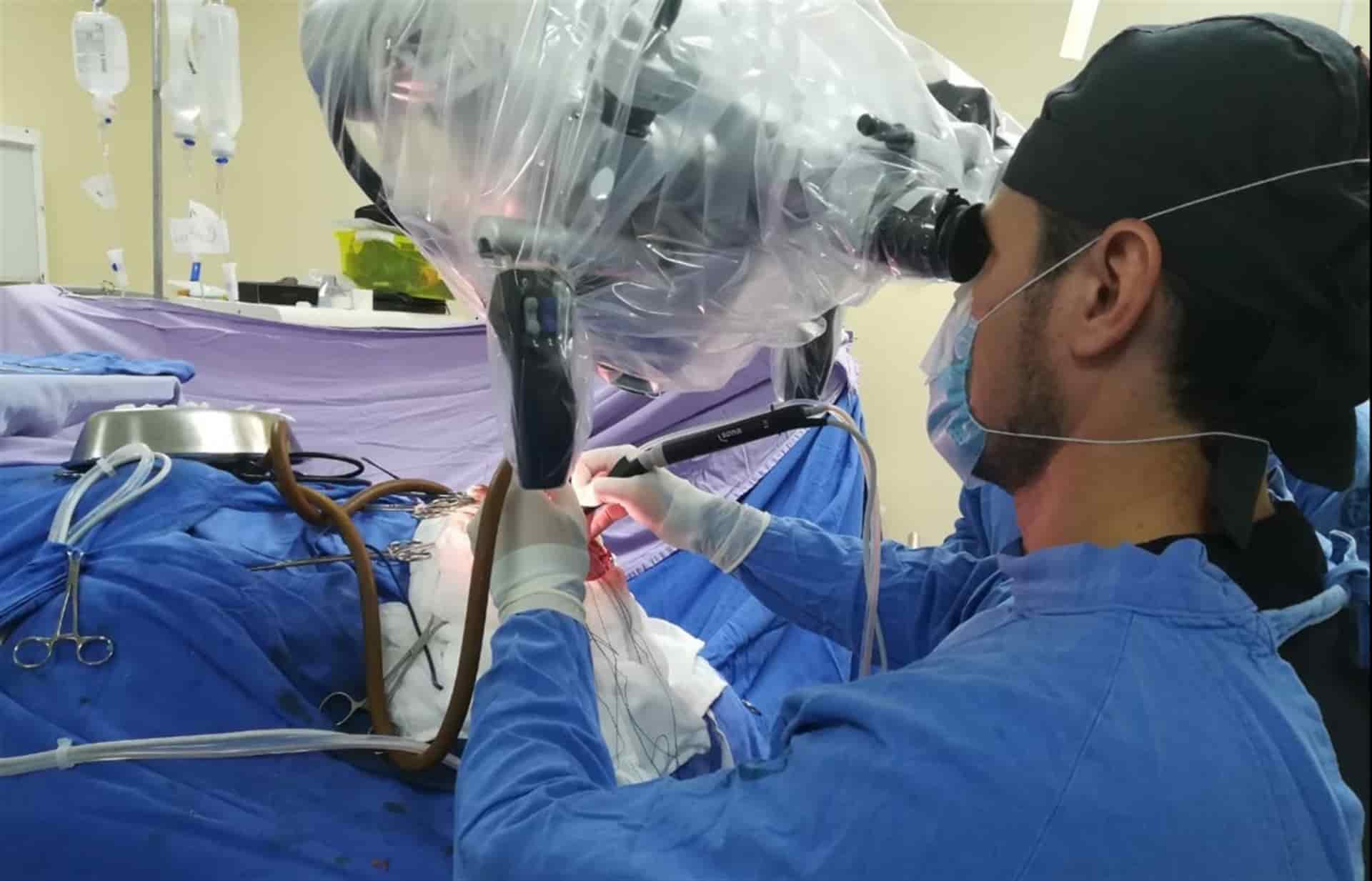 Robot autónomo logra entrar al corazón de un cerdo con éxito