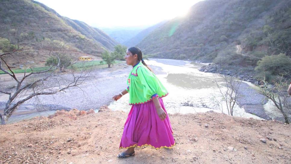 Violencia e inseguridad acechan a ecologistas en la Sierra Tarahumara