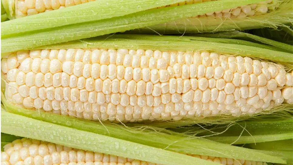 Baja precio del maíz y sube el del trigo