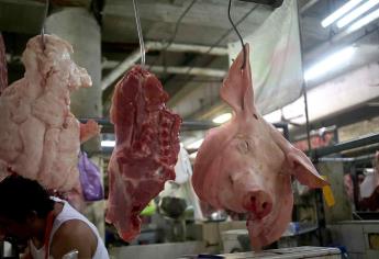 Epilepsia puede ser ocasionada por comer carne de cerdo contaminada