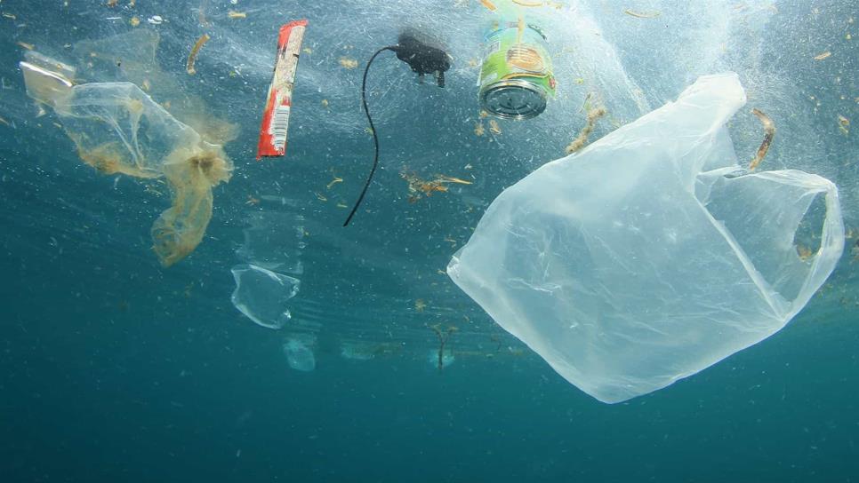 Europa prohíbe el uso de plásticos de un solo uso en playas y mares