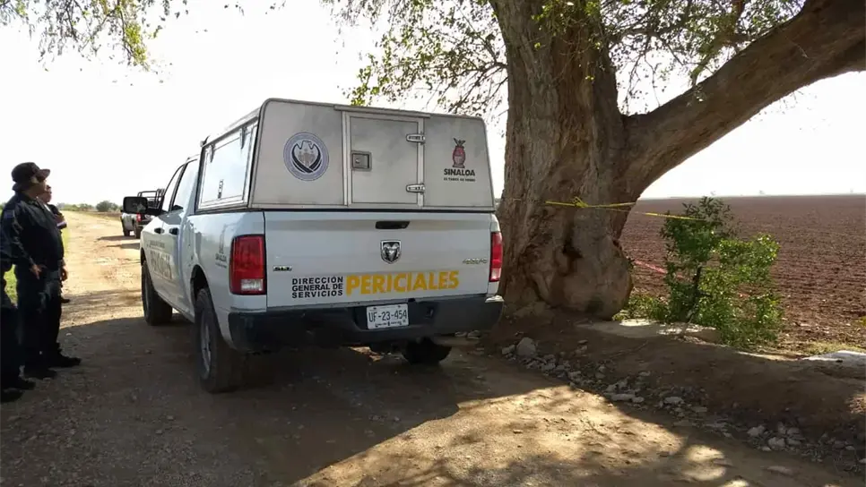 FOTO: Ernesto Torres.