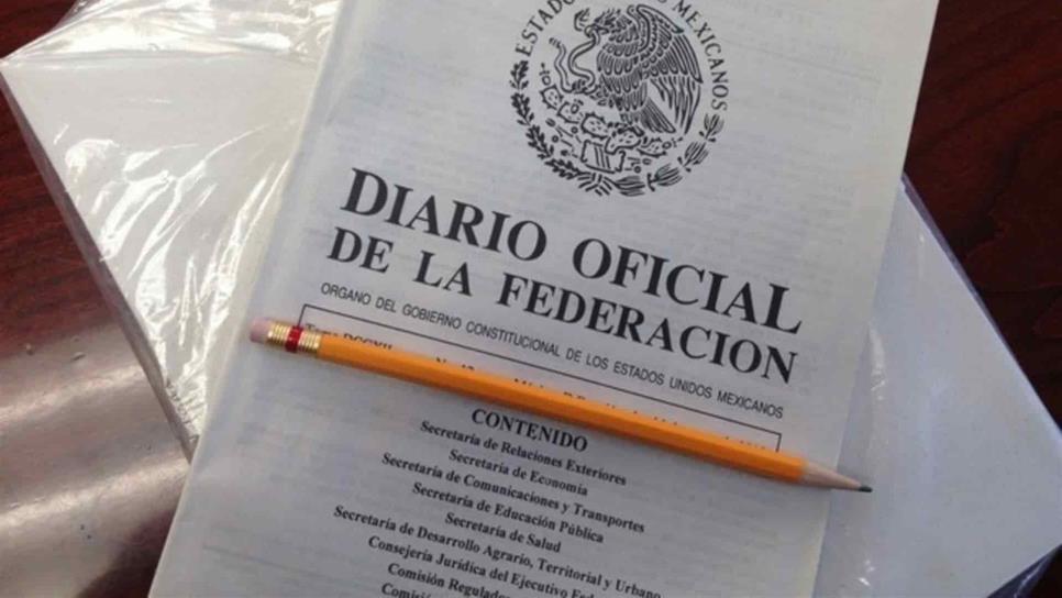 Diario Oficial de la Federación solo se publicará en forma electrónica