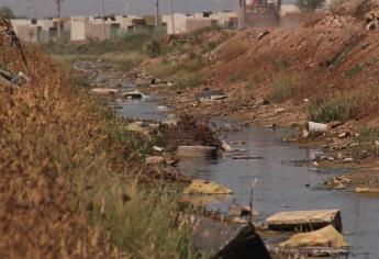 Buscan crear Ministerio Público Ambiental para Ahome y El Fuerte