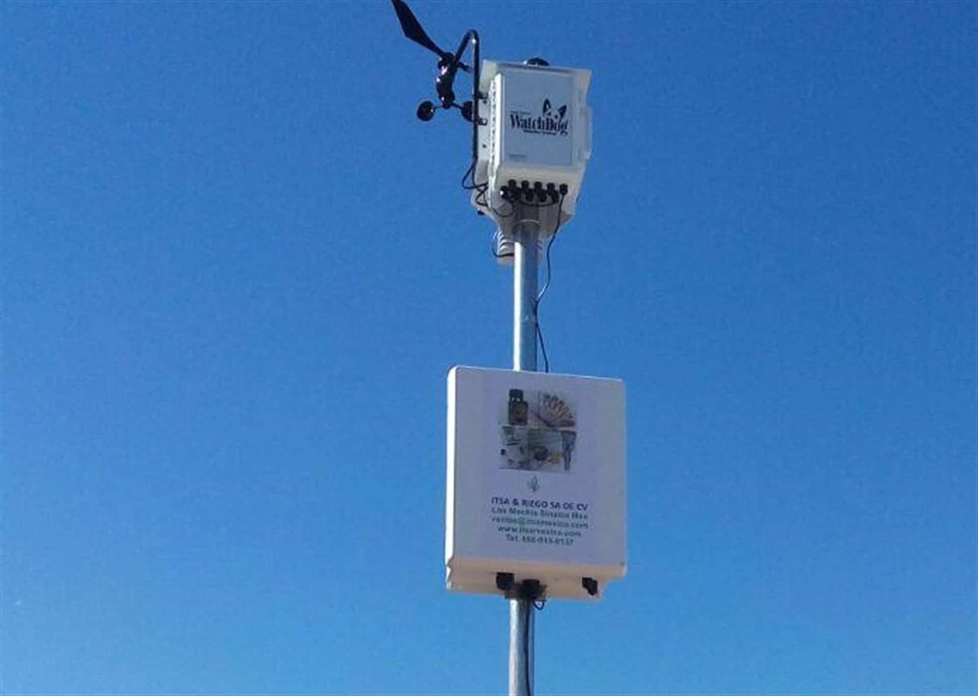 Se blinda Sinaloa contra mosca de la fruta