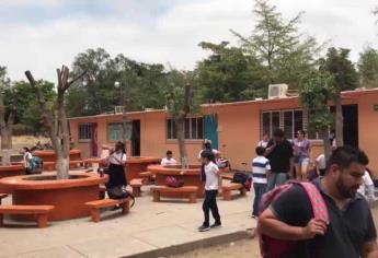 Reforestarán escuela donde hubo poda indiscriminada