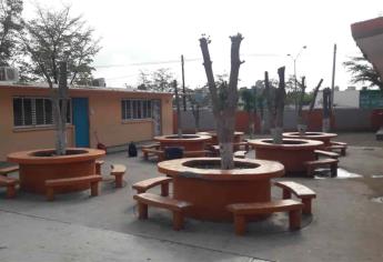 Consideran excesivo invertir $7 mil en tala, en escuela de Culiacán