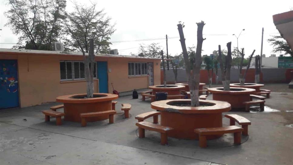 Consideran excesivo invertir $7 mil en tala, en escuela de Culiacán