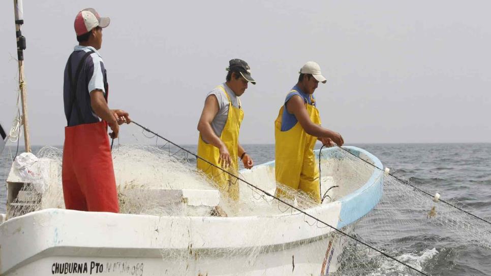 Federación destina mil 159 mdp para pesca y acuacultura